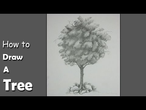Mountains and Pine Tress Watercolor Pencil Landscape Drawing | steps to follow