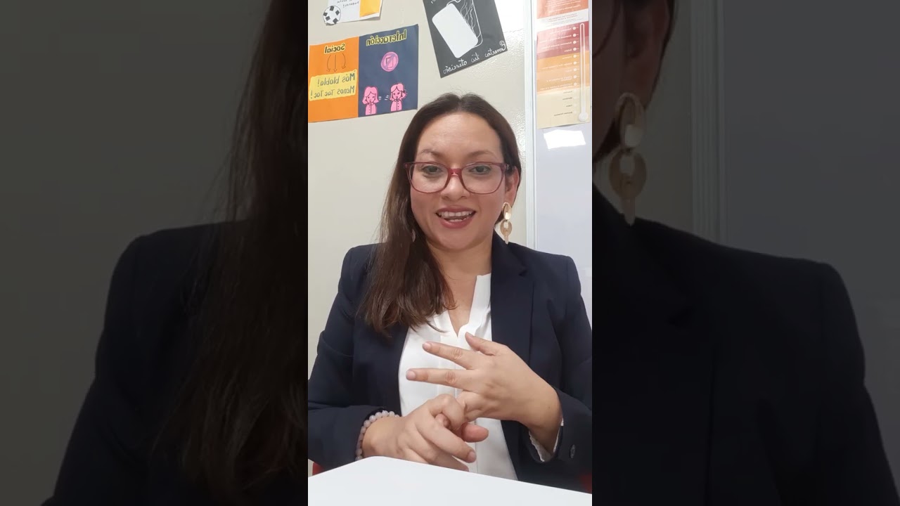 Youth Ambassadors program. Aplication 2025