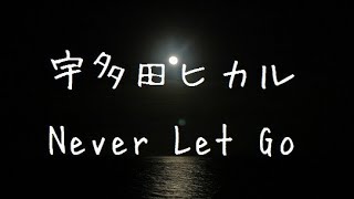 Never Let Go/宇多田ヒカル cover.