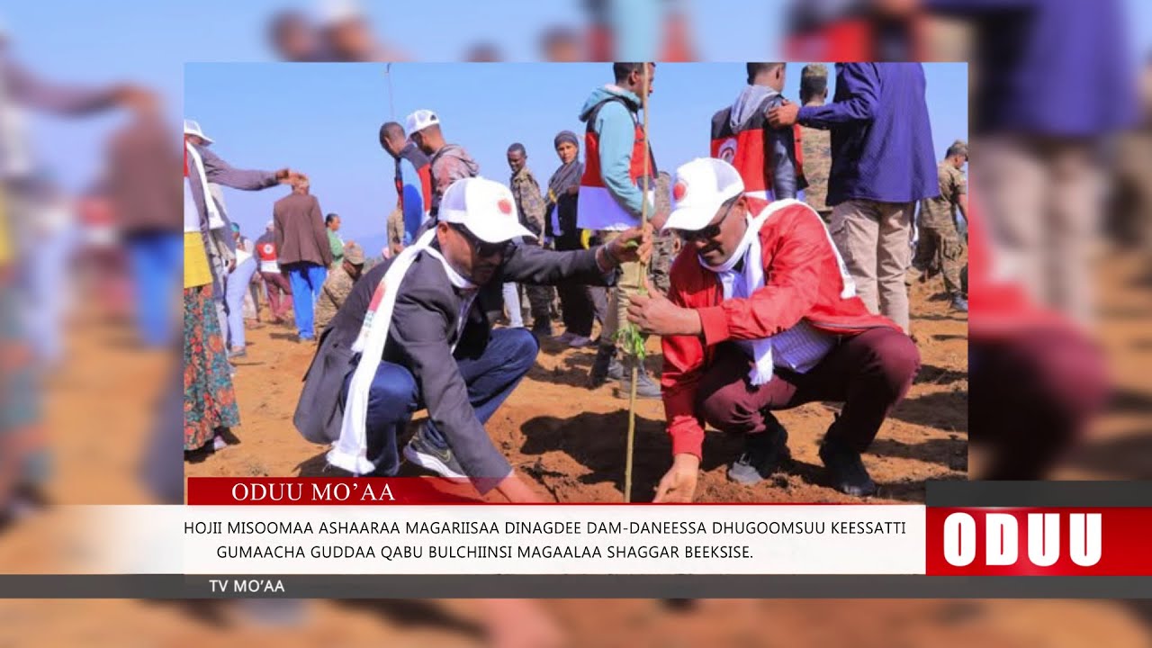 Oduu Kamisa Galgalaa (June 12. 2025) Finfinnee