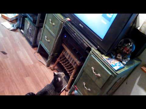 Omg! Tati needs this!!