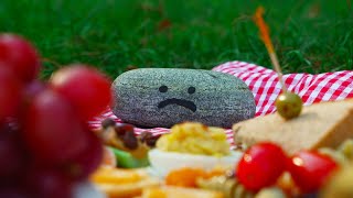 Cover art for DEAR PET ROCK