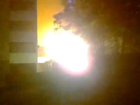 Roskispalo at pihlajisto