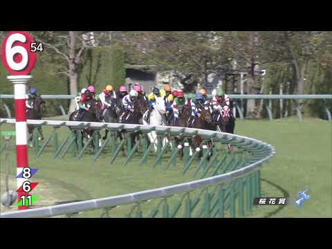 White Filly Sodashi Remains Undefeated With Oka Sho Triumph
