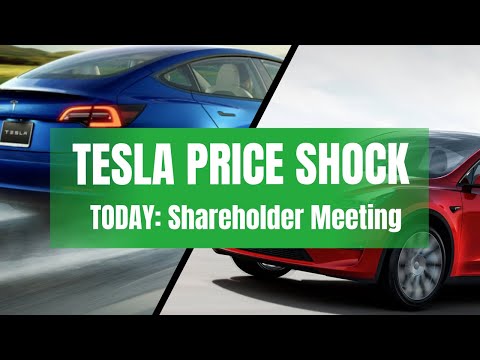 Tesla Price Shock & Shareholder Meeting Questions!