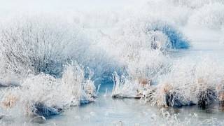 Dark Lunacy - Cold Embrace