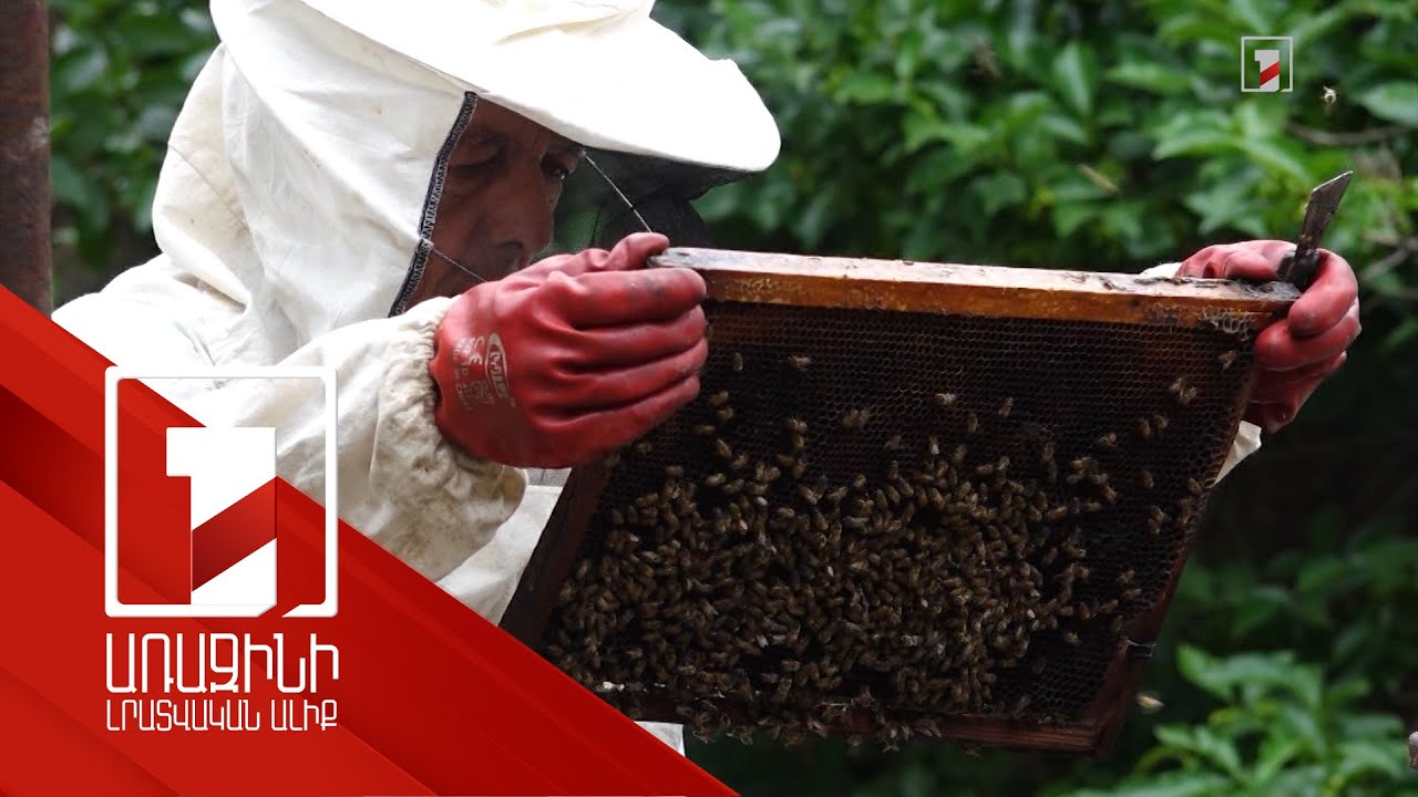 Մեղվափեթակներ՝ Հայաստանի բնակիչներին. ծրագրին մասնակցում են 18-50 տարեկան կանայք