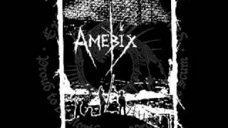 Extinction of Mankind - Sunshine Ward (Amebix cover)