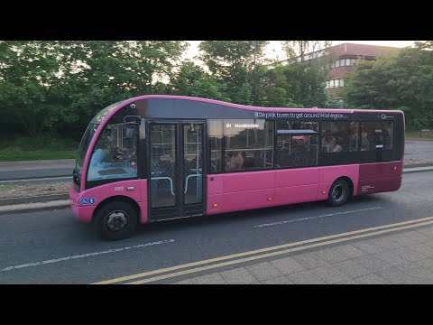 Little Pinks 81 to Washington - Go North East 689 - NK66 CXE