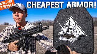 This $60 Rifle Plate STOPS My Entire Arsenal?! (TEMU Body Armor)