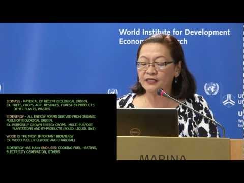 UNU WIDER : Sustainable Energy