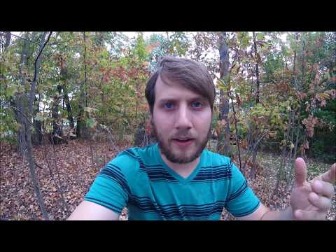 Welfare Underclass a MAJOR threat to American Society (292,367 out of 1,000,000 views)