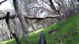 West Coast Adventure Park | Gameplay Footage | Autococker Mech