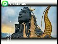 Sivan Dialogue What S App Status