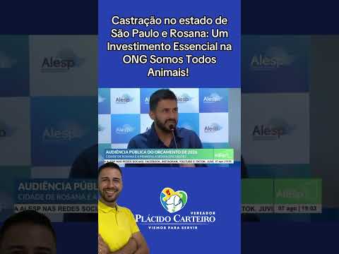 Castração no estado de São Paulo e Rosana: Um Investimento Essencial na ONG Somos Todos Animais!