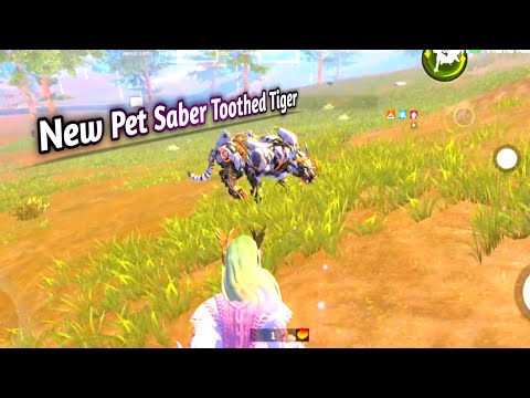 New Pet Saber Toothed Tiger | New Update New Pet | Last Island Rules Survival |