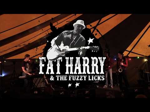 Fat Harry & the Fuzzy Licks - Feel So Good - Abbeblues - 2017