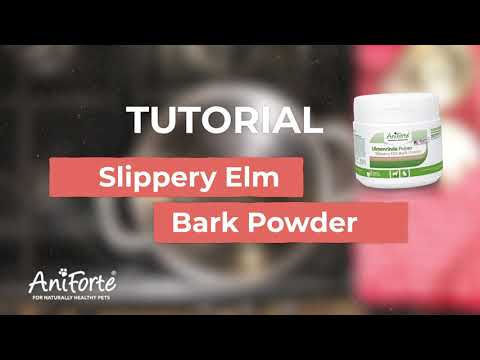 How to properly use Slippery Elm Bark Powder