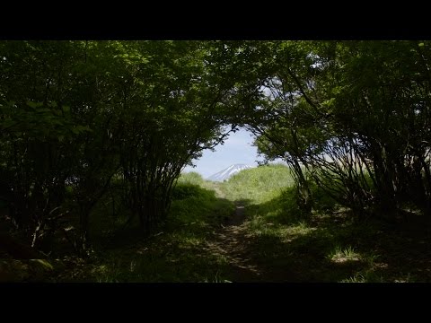 きらら・切通峠・明神山ハイキングコース