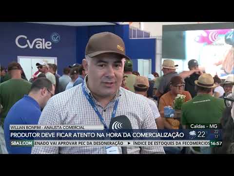 Irregularidade climática afeta produção de soja no Rio Grande do Sul
