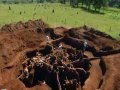 Giant Ant Colony Excavated 