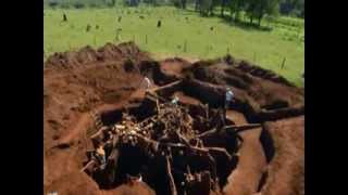 ★ Giant Ant Colony Excavated ★