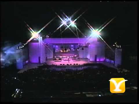 King Africa, Saltando sin parar - Mama yo quiero, Festival de Viña del Mar 1995