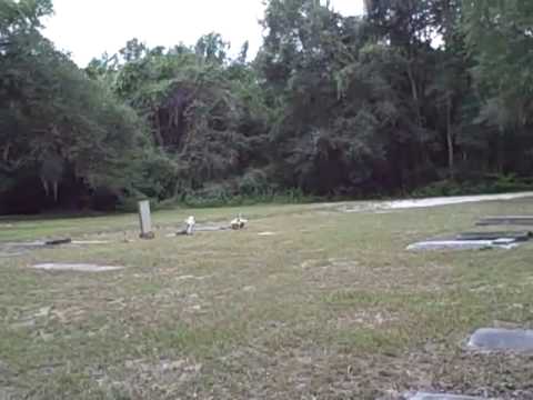Spring Hill Cemetery Video 2