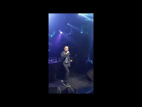 Scotch (Vince Lancini) Live Molo 5 Mestre 2025