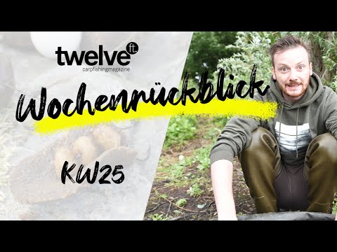 12ft Mag Wochenrückblick KW25 | 12ft Veränderung | Partikel | Enzyme | Trickkiste | Karpfenangeln
