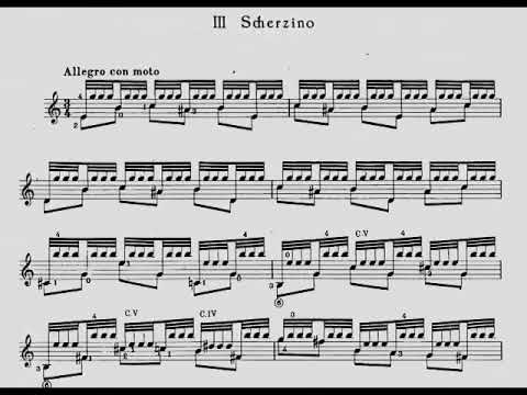 Alexandre Tansman - Cavatina for Guitar (1951) [Score-Video]