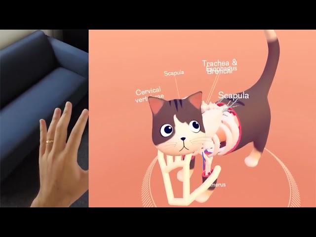 YouTube Video -