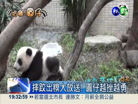 圓仔成長日記 幕後花絮大公開