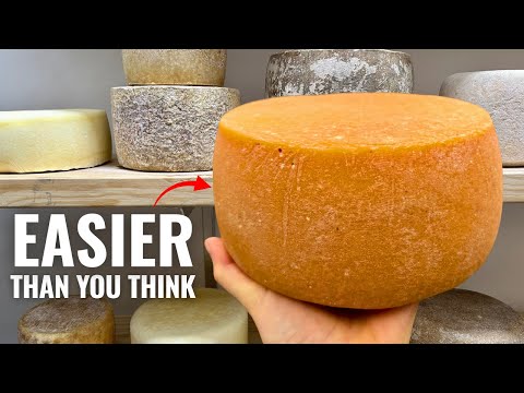 How to Start Making Cheese in 2026