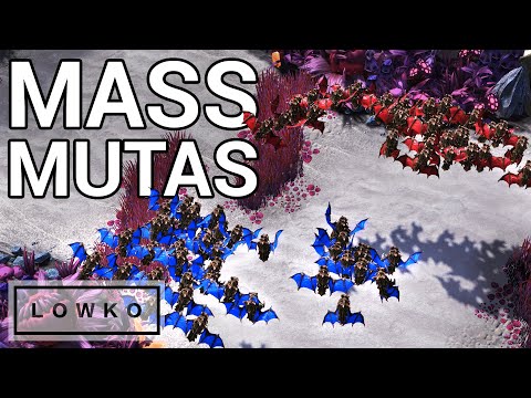 StarCraft 2: ZERG MEMES! (Dark vs Solar)