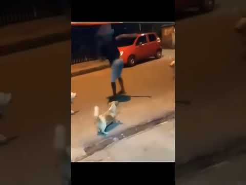 Señor Vs 3 PERROS 🐶 #apoyoplis#1vs3#perros#elpersonajedelasemana#shorts#señor