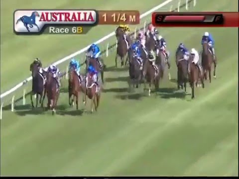 VINERY STUD STAKES 2016 - Single Gaze