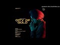 City Of Gold Nirvair Pannu Full Audio
