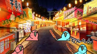 お祭りで暴れるTINTINparrot　ゲーミングインコ