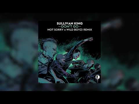 Sullivan King - Don't Go (not sorry & Wild Boyz! Remix)