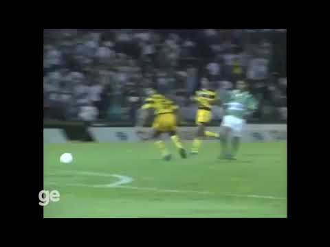 Muller Luis Antonio (Palmeiras) - 10/04/1996 - Palmeiras 4x0 Novorizontino - 1 gol