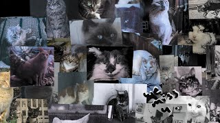 Cover art for lost + found (BY EZEKIEL)