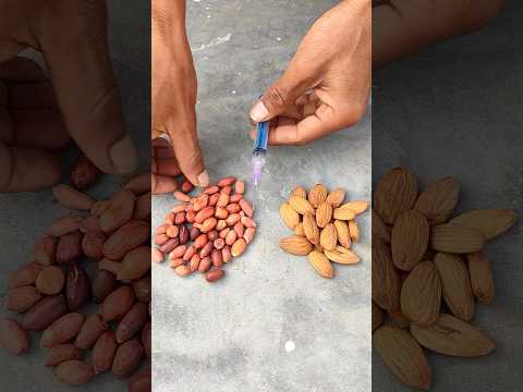 New #short pista badam amre with supply satisfying growth #shortvideo #funny #trending  😂👏