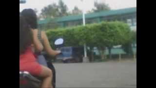 LABERINTO   GATOS LOCOS VIDEOTIO 144