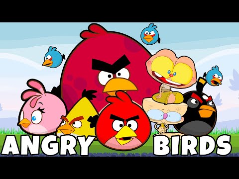 Mongo e Drongo agoniam os Angry Birds - Angry Birds em Desenho animado