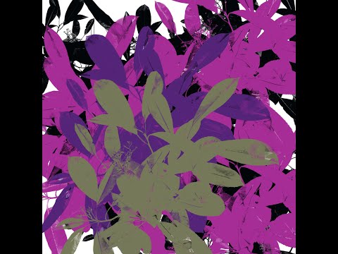 SWAN LAKE THEME Oboe and English Horn Duet