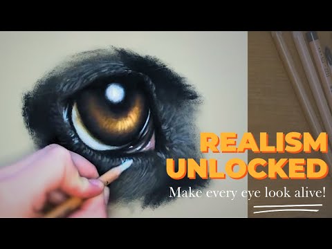 How to draw a dog eye with pastel pencils - easy step by step!