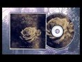 More Than Life - You're Not Alone 