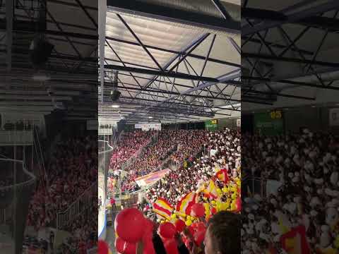 Mountfield HK - Dynamo / Hradecký Kotel