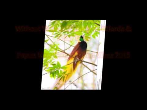 Without You - Jeffery Jay Hardy ft. 4Blordz & Tezzy Devz